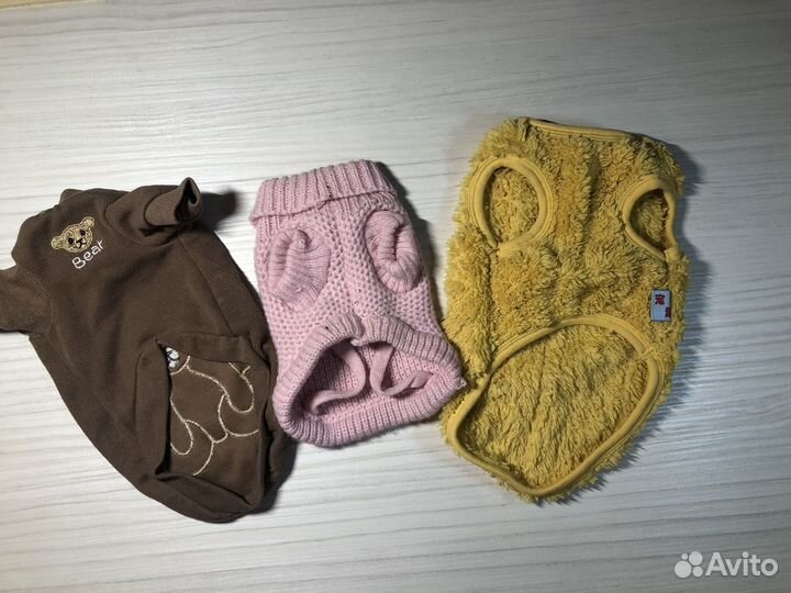 Одежда для собак мелких пород