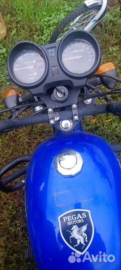 Alfa pegas bandit 110