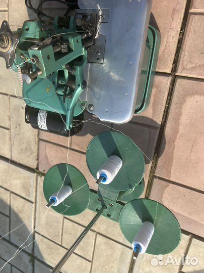 Оберлог китайский