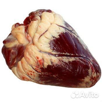 Сердце говяжье