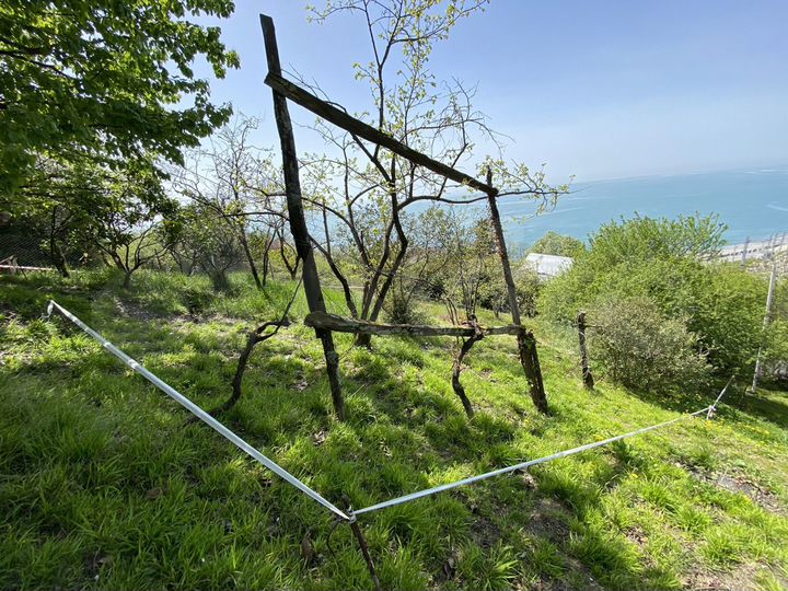 Участок 3,6 сот. (ИЖС)