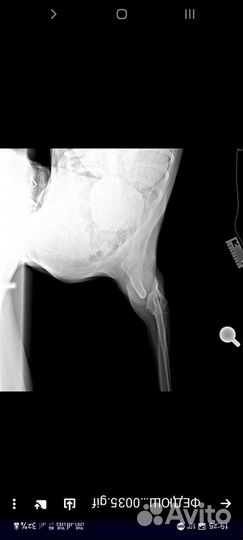 Рэй ищет дом