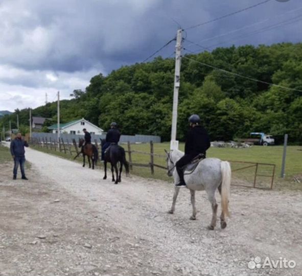 Конные прогулки в горах