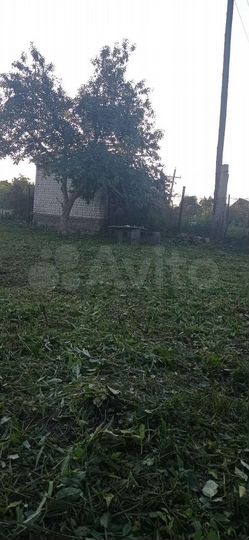 Участок 4,8 сот. (СНТ, ДНП)
