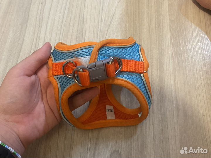 Шлейка для маленькой собаки