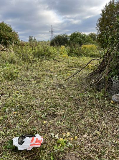 Участок 4 сот. (СНТ, ДНП)