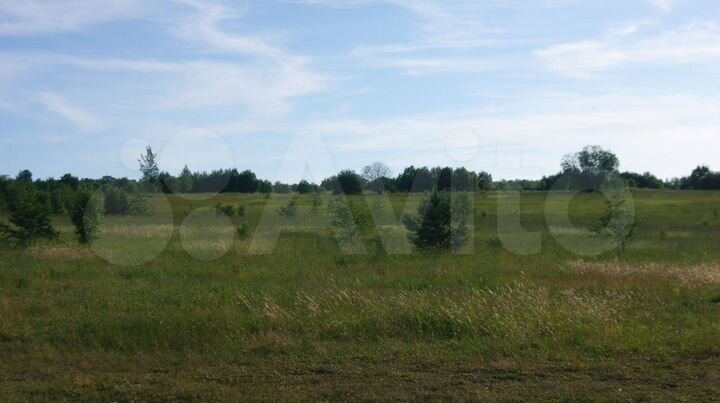 Участок 4,4 га (СНТ, ДНП)