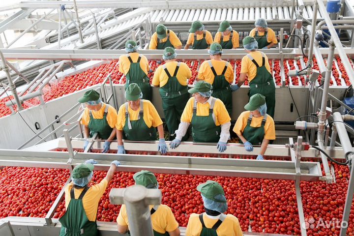 Комплектовщик на пищевое производство