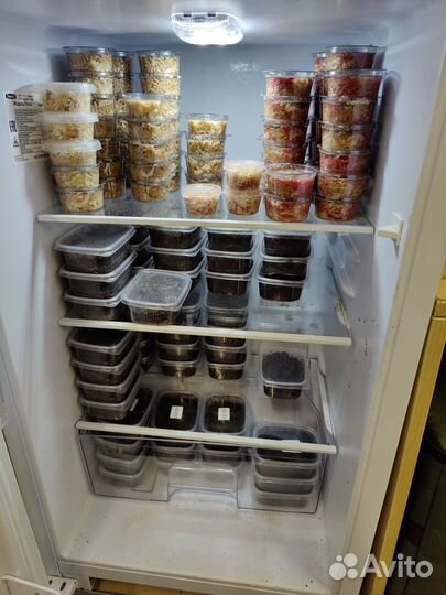 Живые насадки для рыбалки (червь, опарыш)