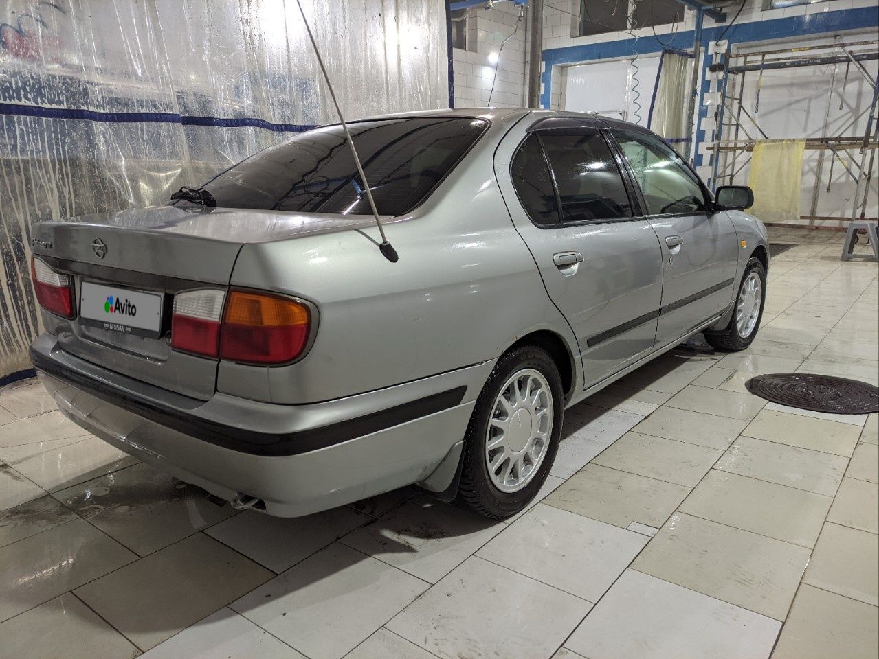 Nissan Primera: фото владельца