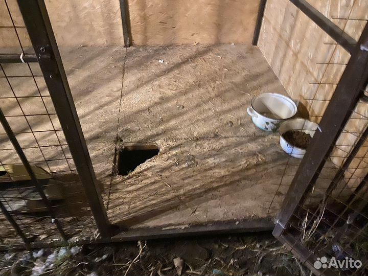 Вольер для собак бу