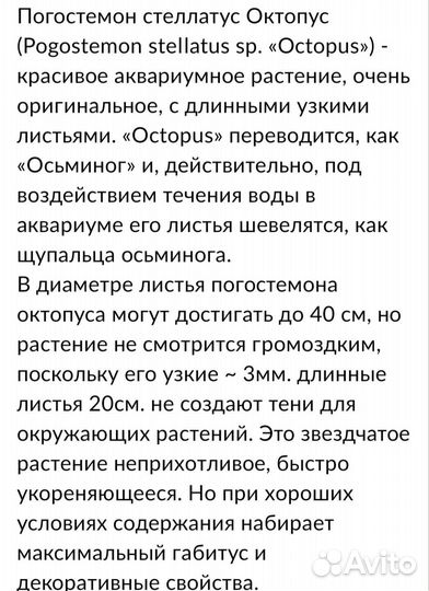Аквариумные растения