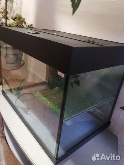 Террариум для черепахи