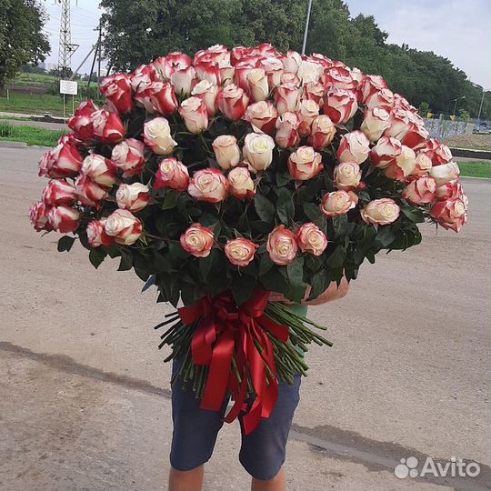 Розы огромный букет