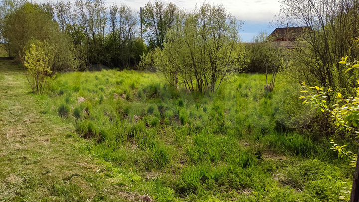 Участок 21,7 сот. (ИЖС)