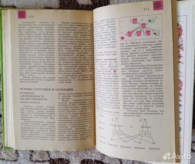 Биология. Справочные материалы