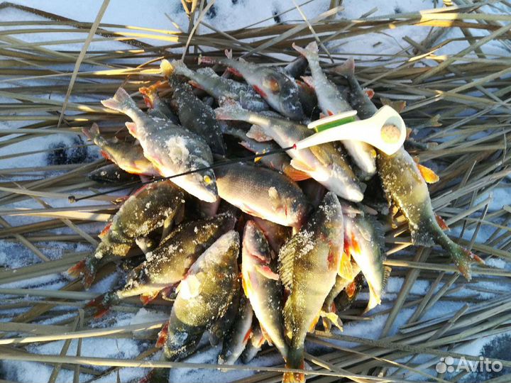 Зимняя блесна #Маропедка