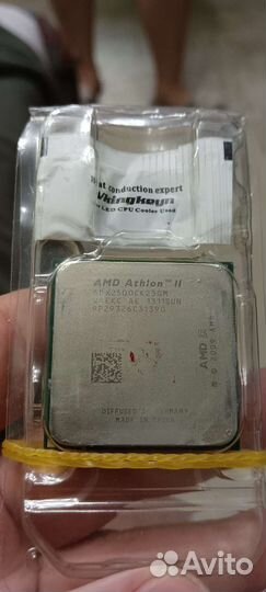 Amd x250