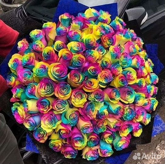 Радужные розы Букеты доставка цветов