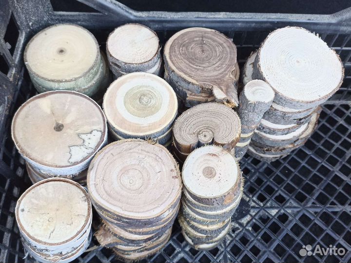 Спилы дерева