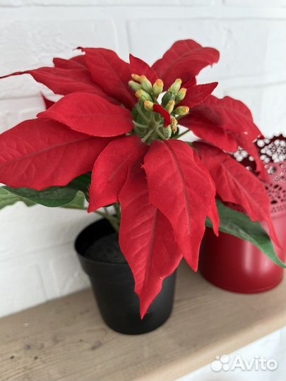 Фейка IKEA и кашпо