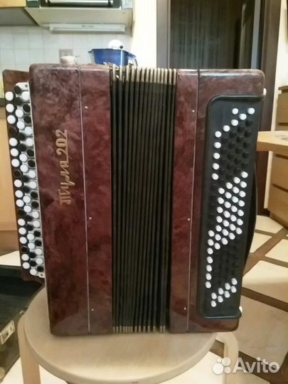 Баян тула 202 этюд. Баян 202. Гармонь тула 202. Баян тула 202 этюд. Баян тула 202.