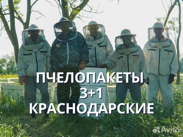 Пчелопакеты Краснодарские 3+22