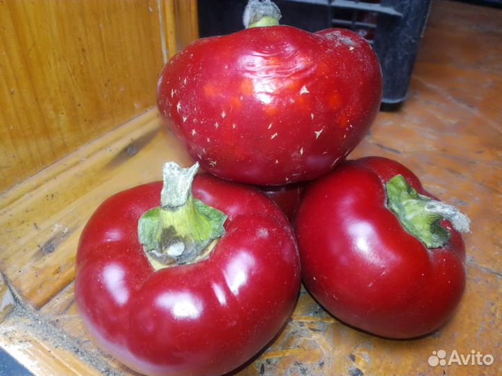 Семена перца (гогошар)(рамиро)(Озарк)