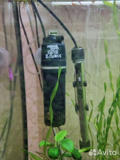 Аквариум с рыбами