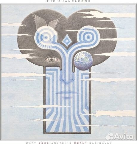 THE chameleons - What Does Anything Mean Basical