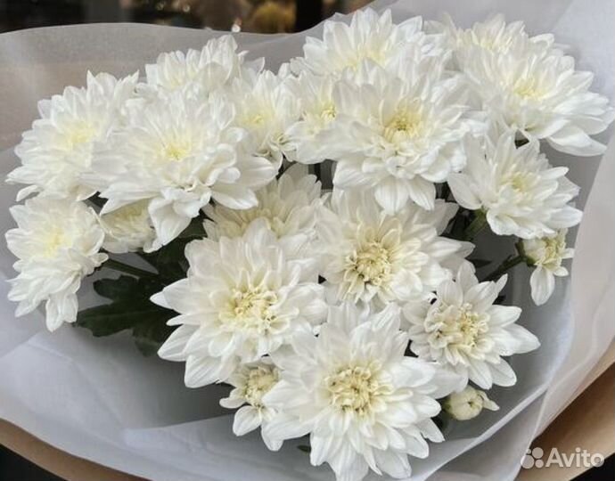 Букет- комплимент из хризантем