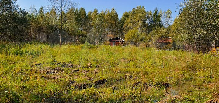 Участок 10 сот. (СНТ, ДНП)