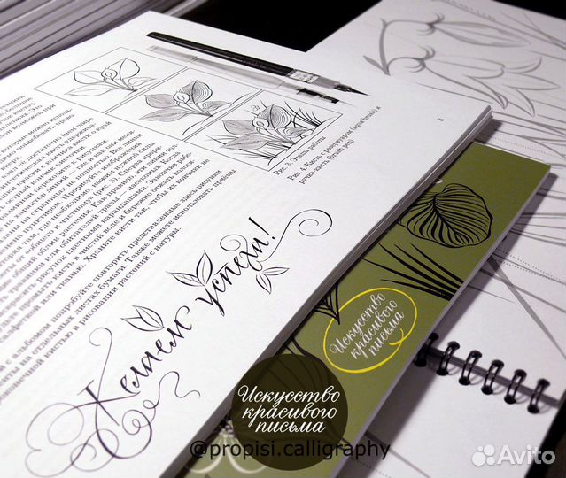 Альбом «Рисуем растения остроконечной кистью»