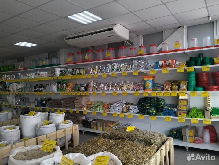 Люцерна семена