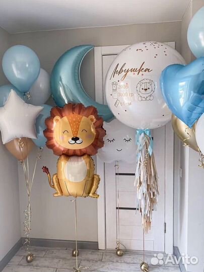 Шары на выписку