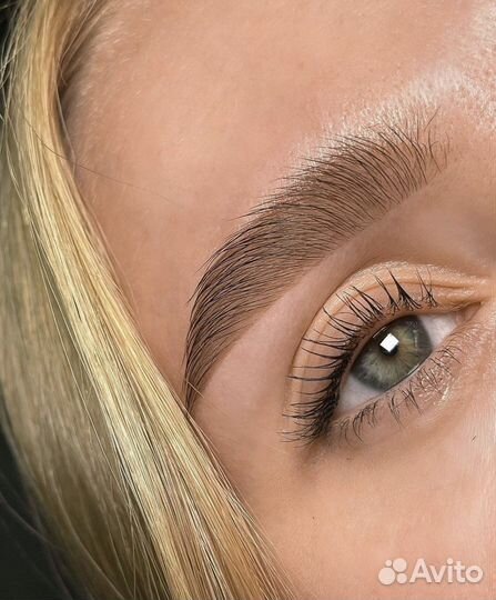 Обучение мастер бровист