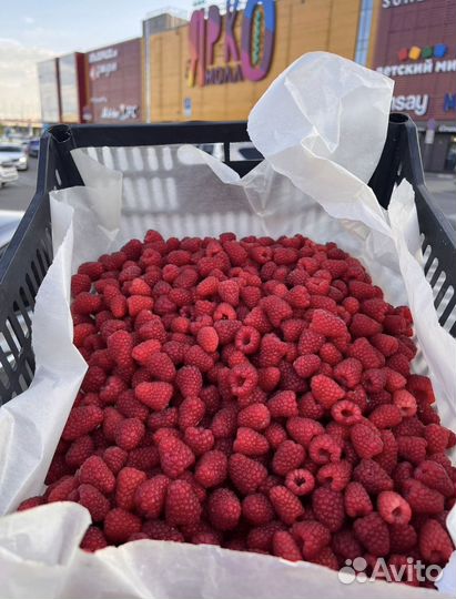 Байкальская малина