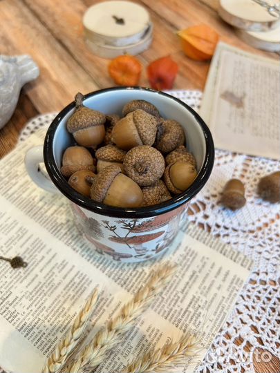 Жёлуди со шляпками