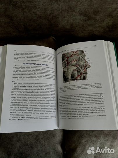 Топографическая анатомия и оперативная хирургия