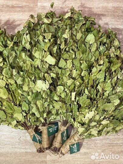 Заготовка веников для бани / дуб, береза, липа