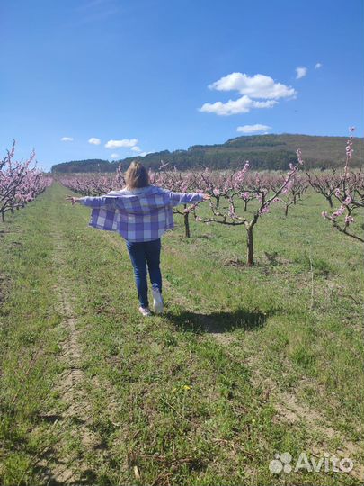 7 чудес Бахчисарая