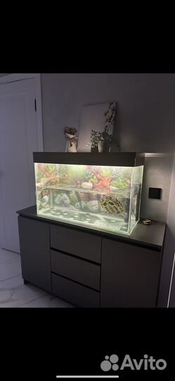 Аквариум