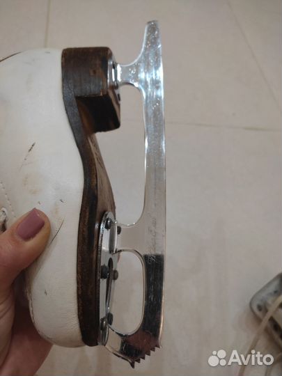 Коньки фигурные Wifa