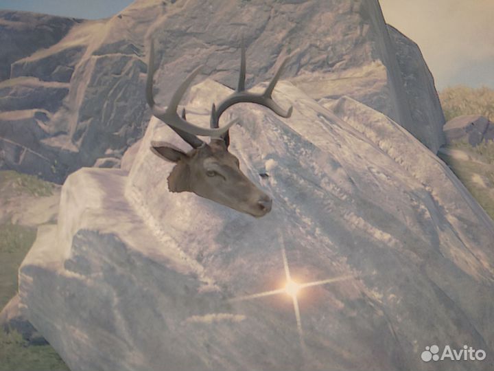 Фармила в Rust