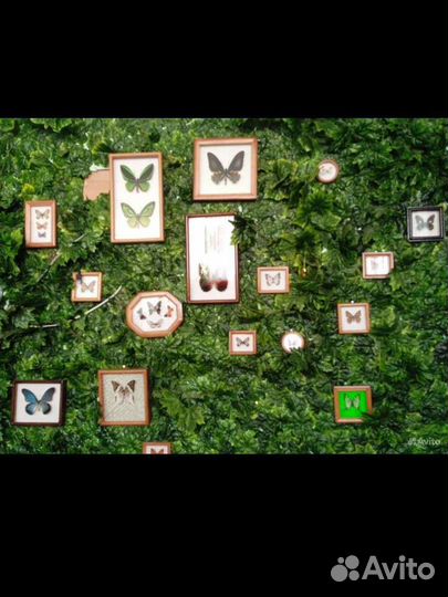 Аренда кабинета с почасовой оплатой