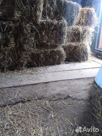 Сено в тюках