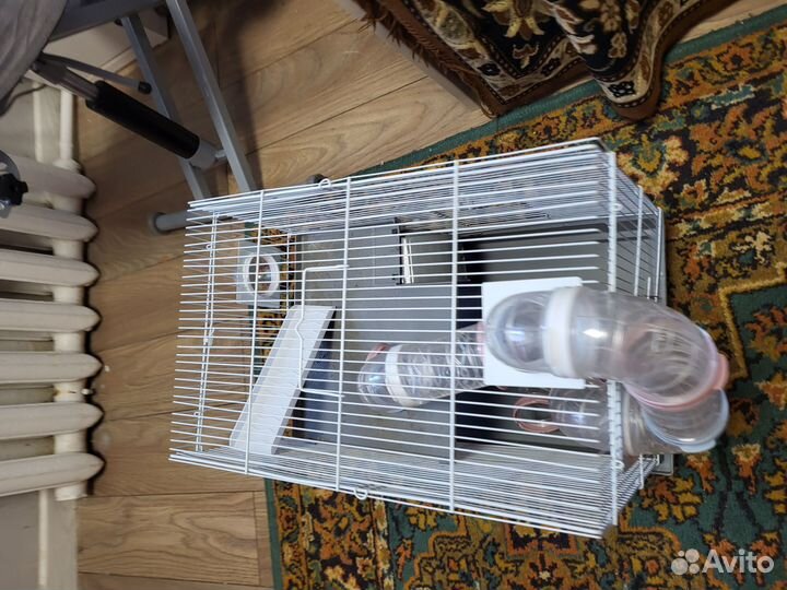 Клетка для грызунов бу