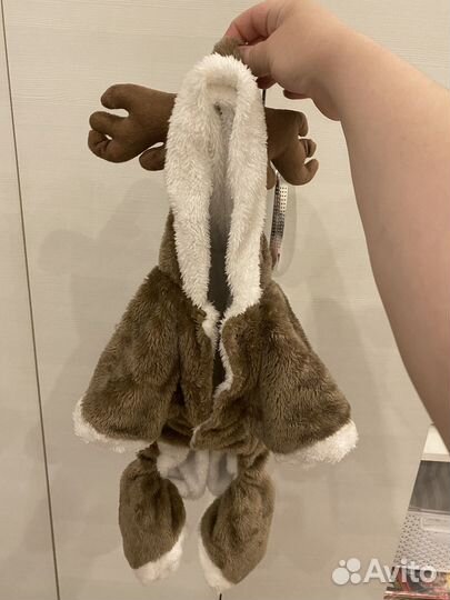 Костюм для собаки