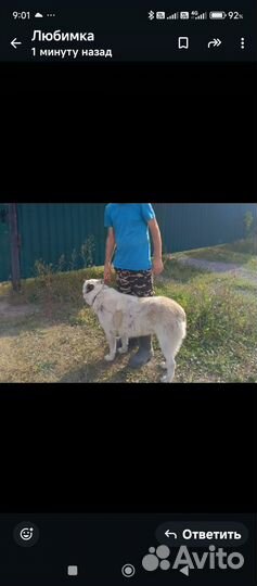 Отдаётся в добрые руки