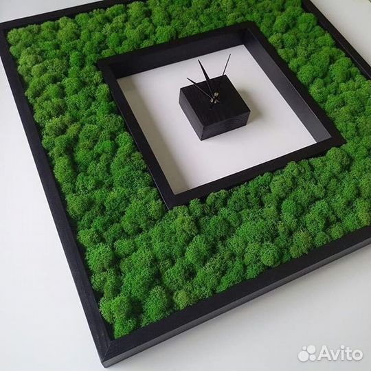 Часы Мох Стабилизированный 40см и др